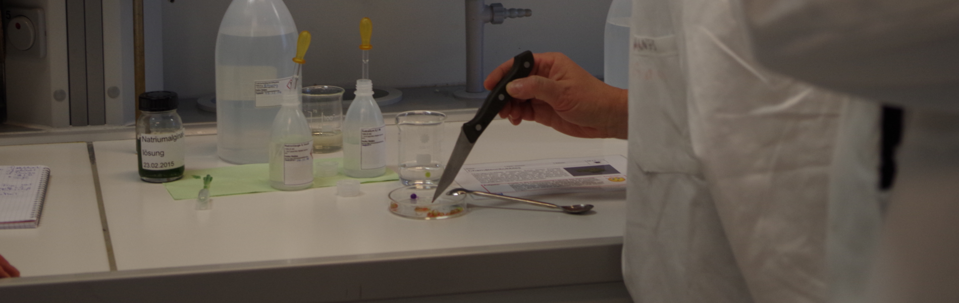 Eine Frau berührt mit einer Messerspitze den Inhalt eines Petriglases und trägt einen weißen Laborkittel dabei.